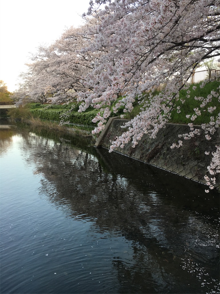 f:id:kosanikki:20210331164509j:image