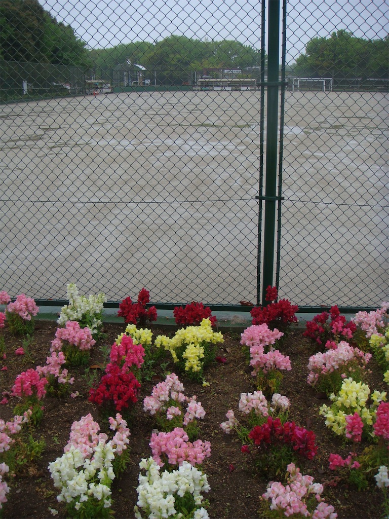 f:id:kosanikki:20210414191255j:image