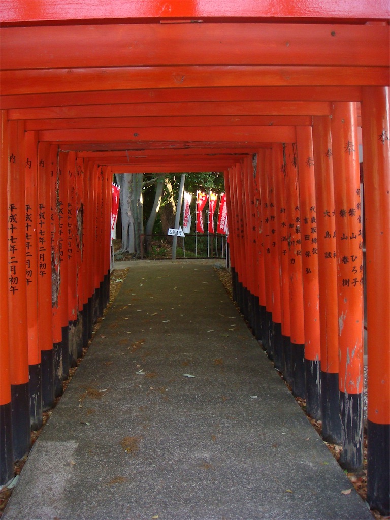 f:id:kosanikki:20210415173159j:image