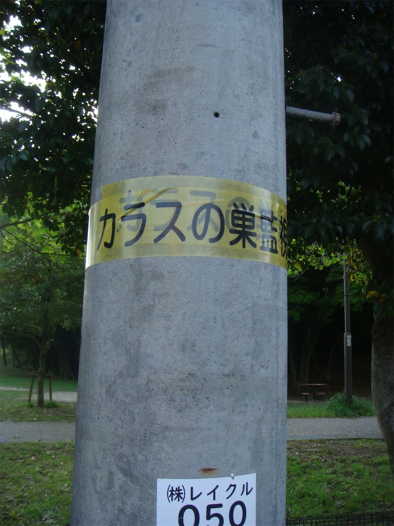 f:id:kosanikki:20210420190650j:image