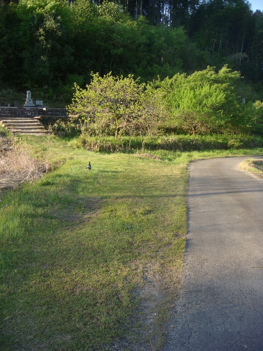 f:id:kosanikki:20210422145409j:plain