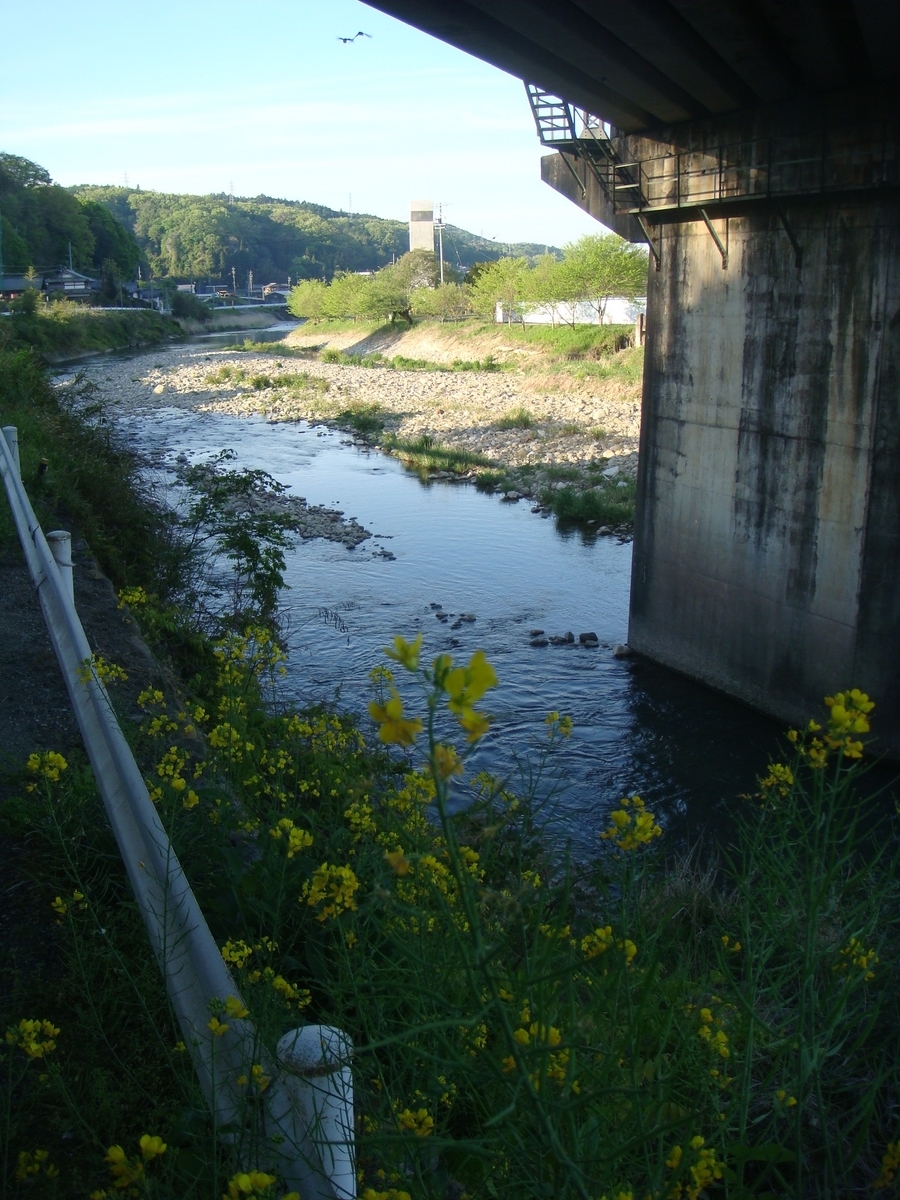 f:id:kosanikki:20210422145422j:plain