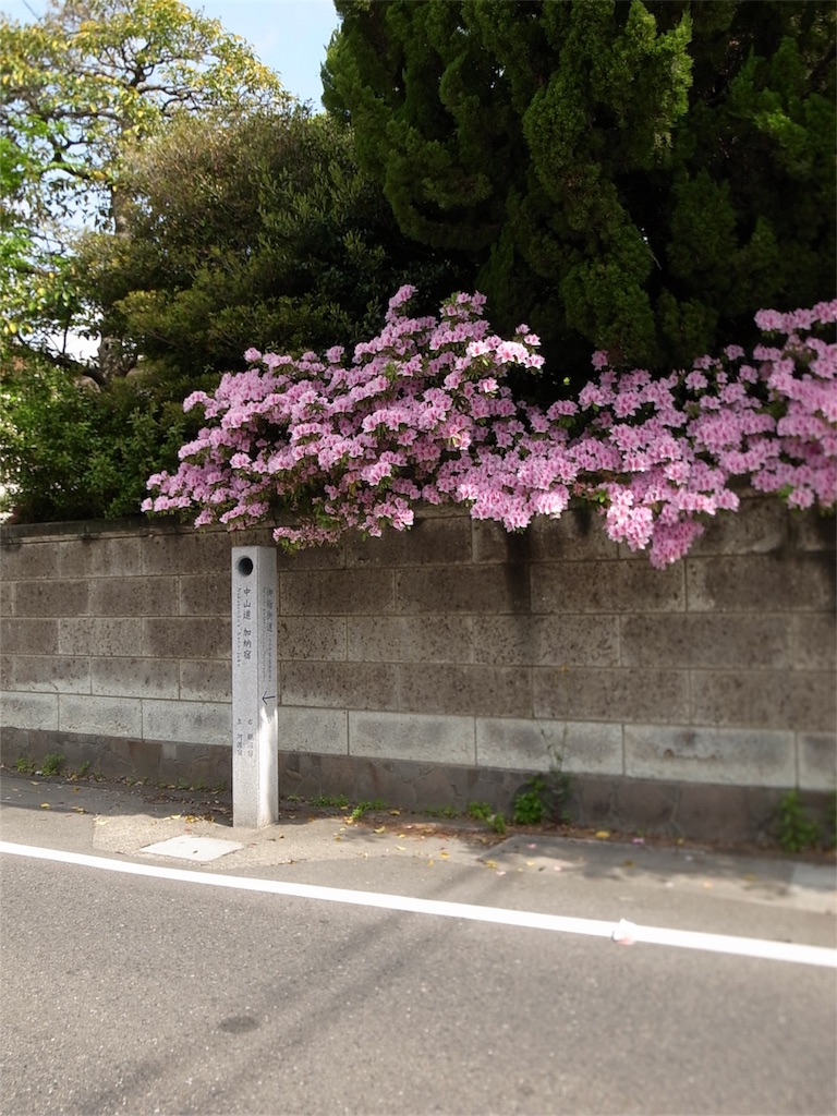 f:id:kosanikki:20210424100811j:image