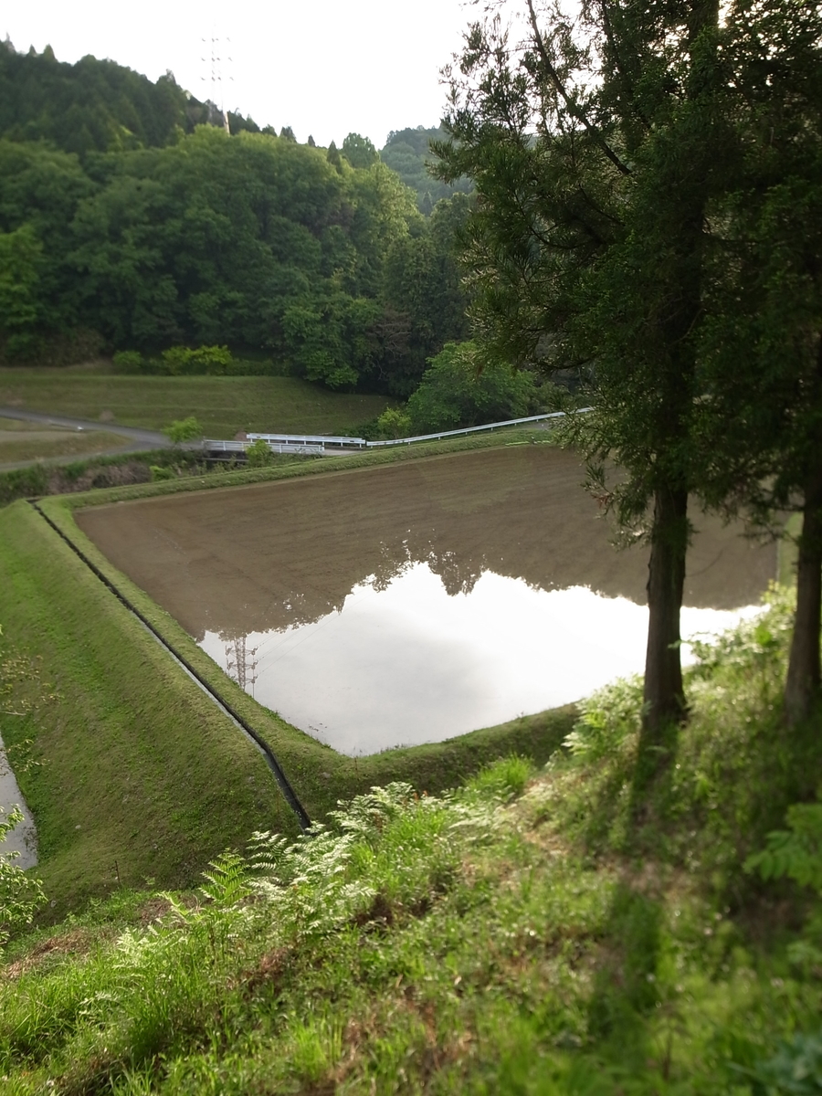 f:id:kosanikki:20210512162334j:plain