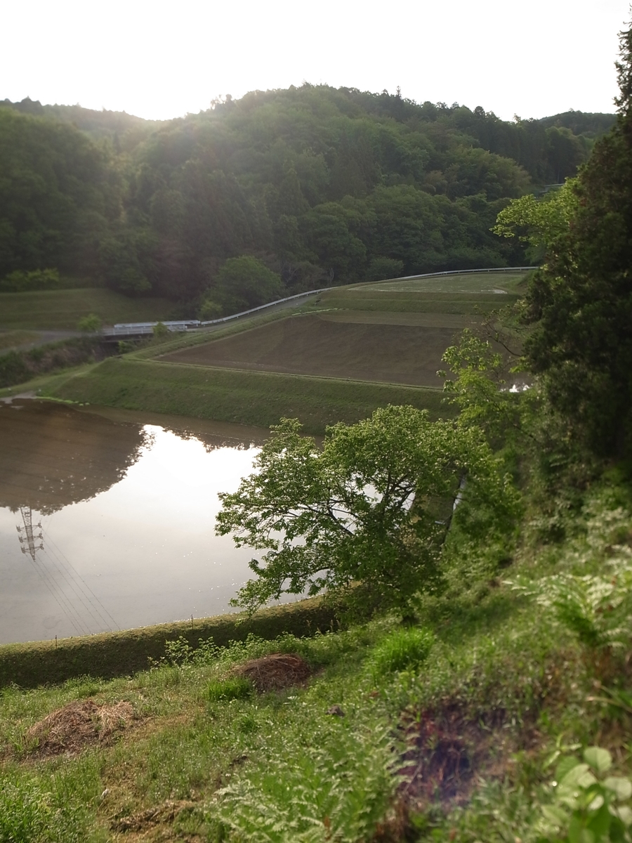 f:id:kosanikki:20210512162341j:plain