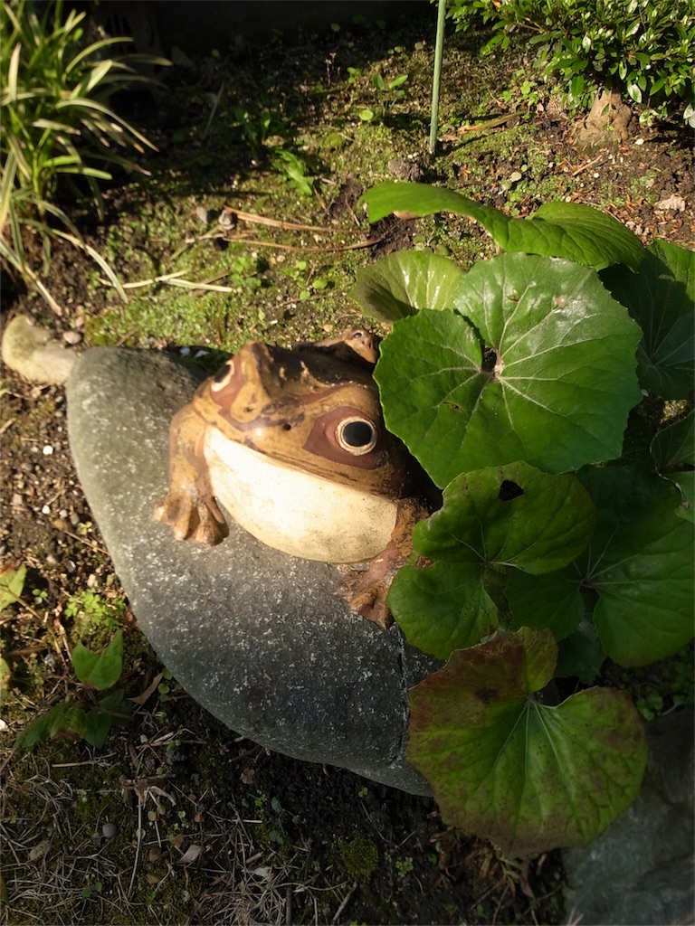 f:id:kosanikki:20210529171024j:image