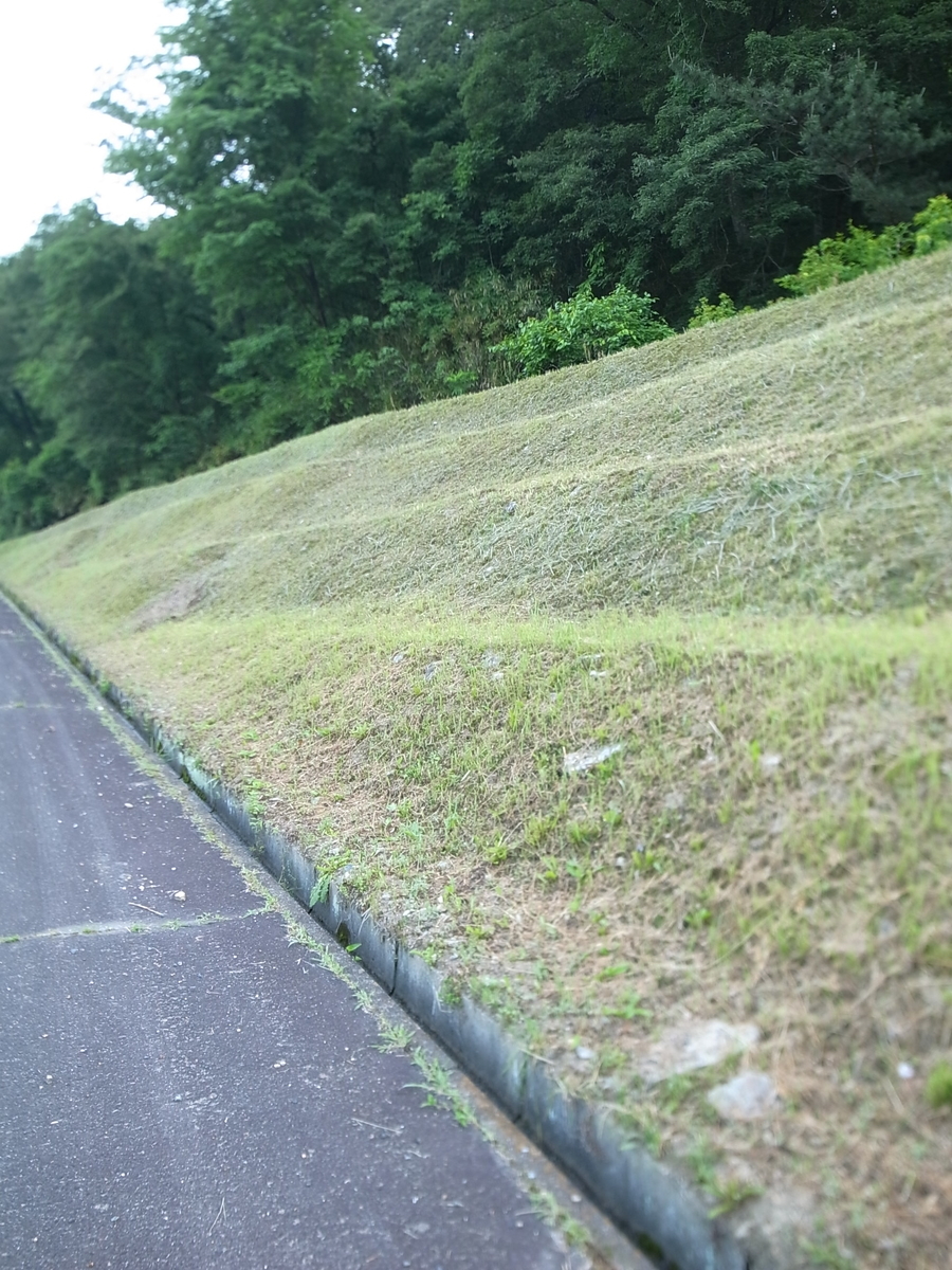 f:id:kosanikki:20210601173001j:plain