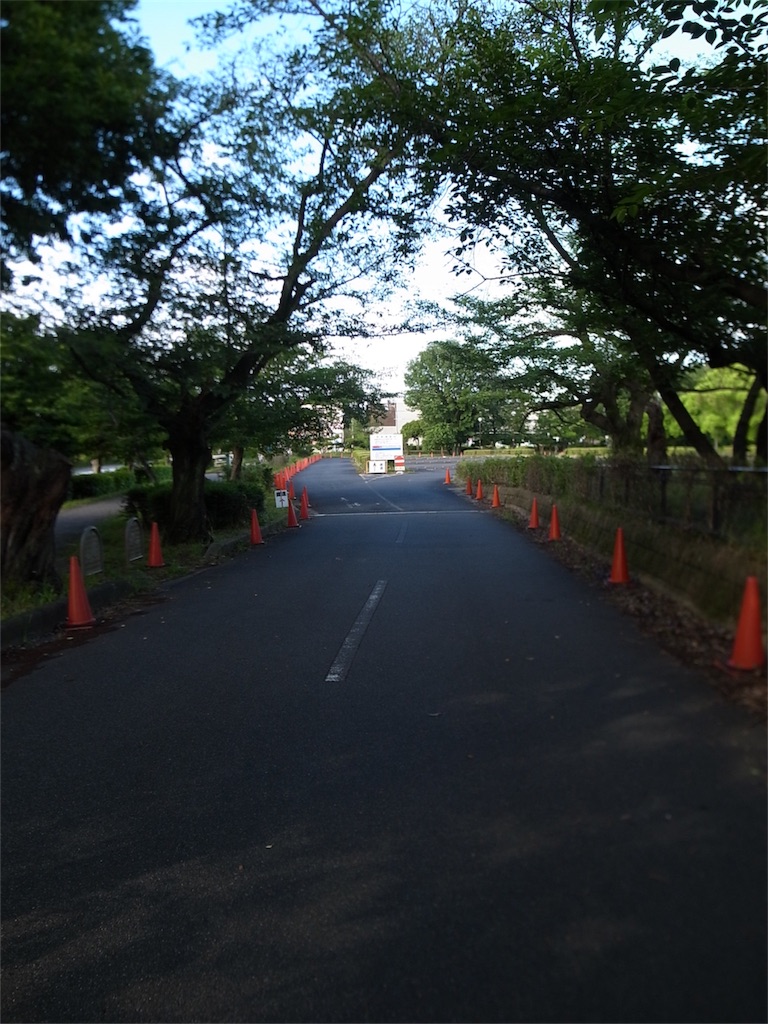 f:id:kosanikki:20210605165350j:image