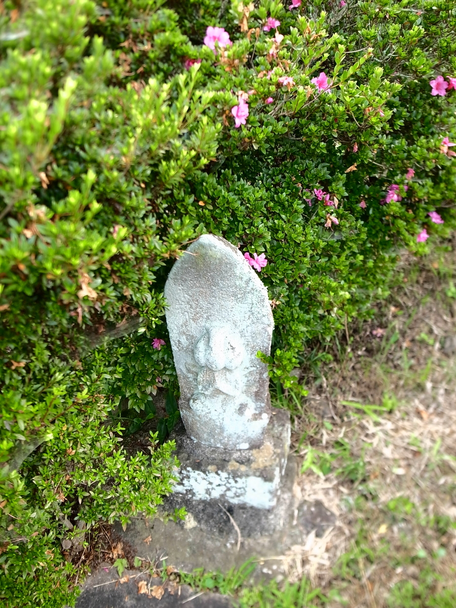 f:id:kosanikki:20210624132057j:plain