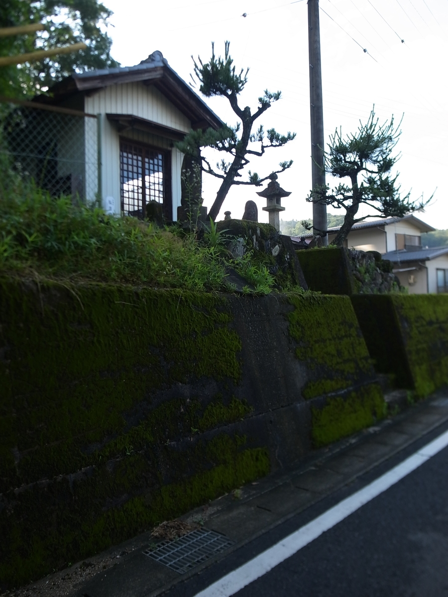 f:id:kosanikki:20210627175108j:plain