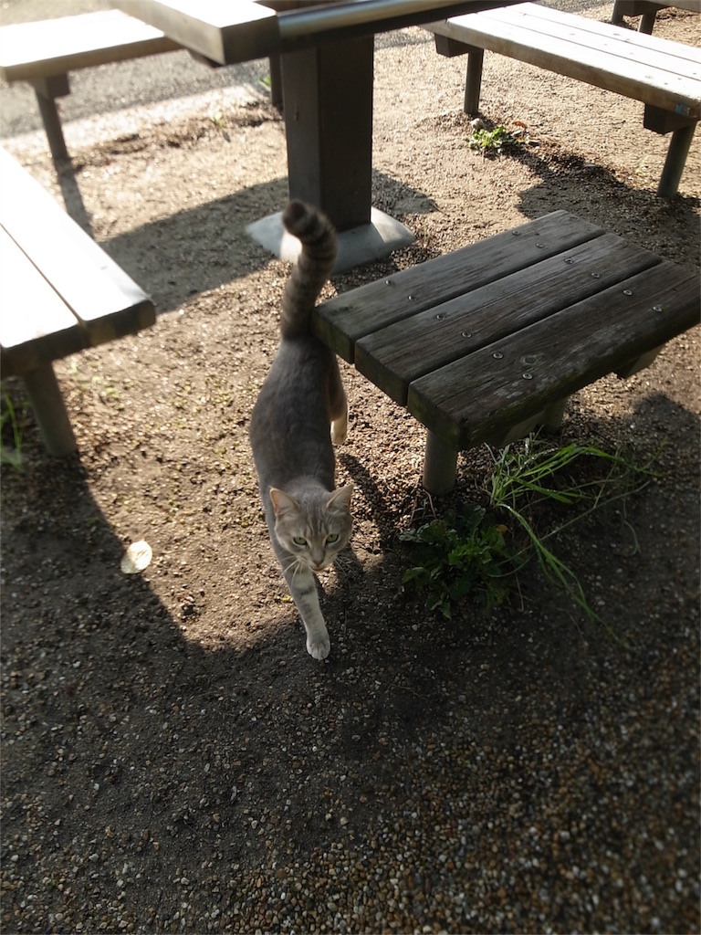 f:id:kosanikki:20210710193314j:image