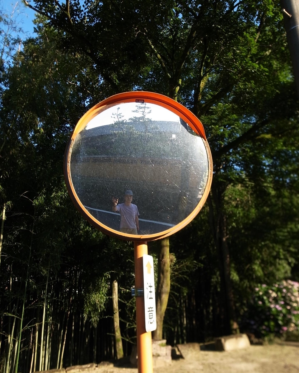 f:id:kosanikki:20210713181140j:plain