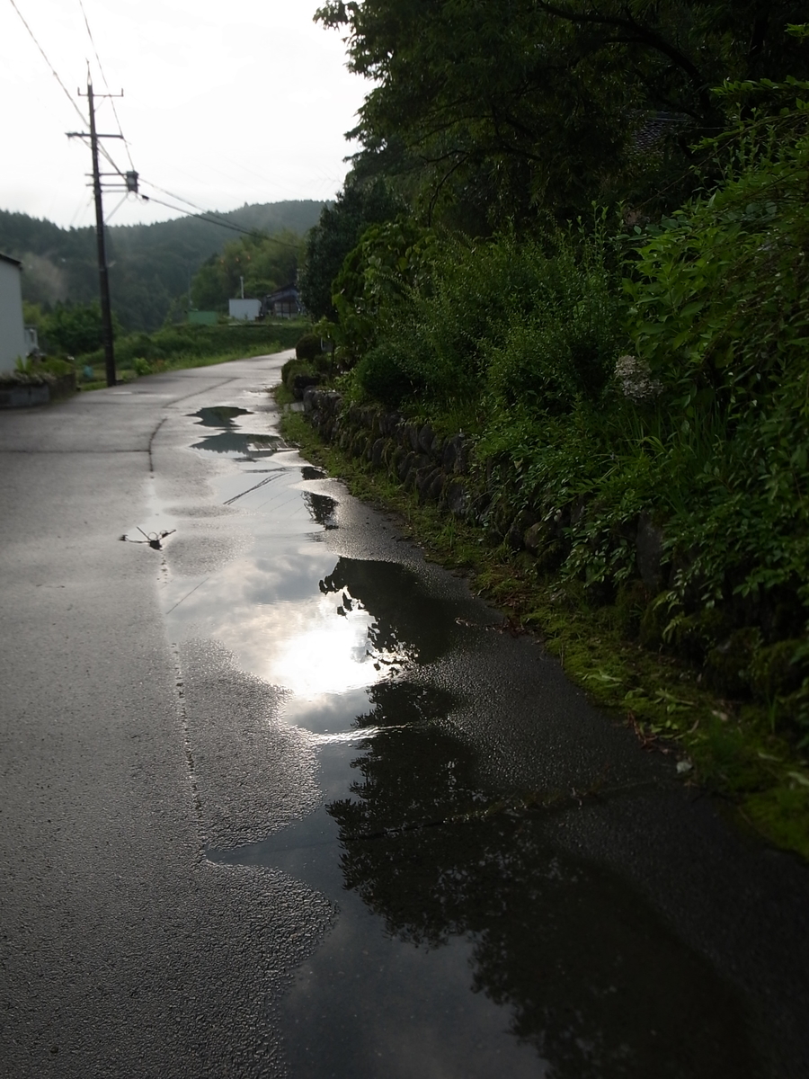 f:id:kosanikki:20210715090153j:plain