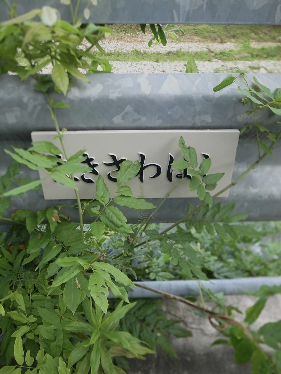 f:id:kosanikki:20210719153855j:plain