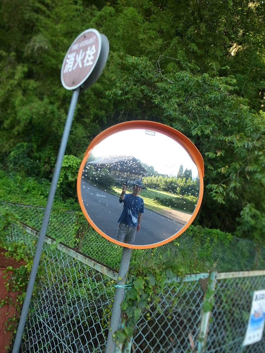 f:id:kosanikki:20210720164755j:plain