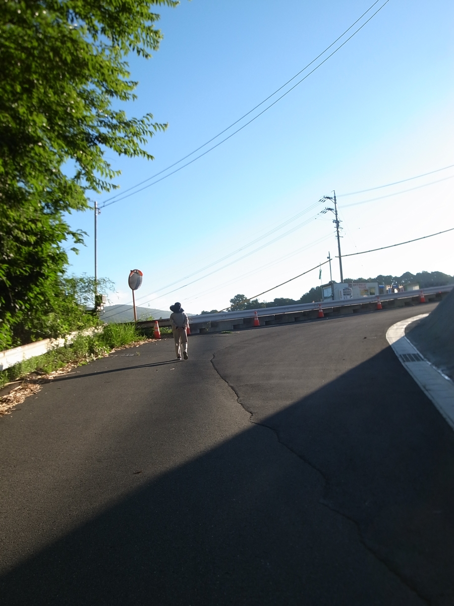 f:id:kosanikki:20210804122531j:plain