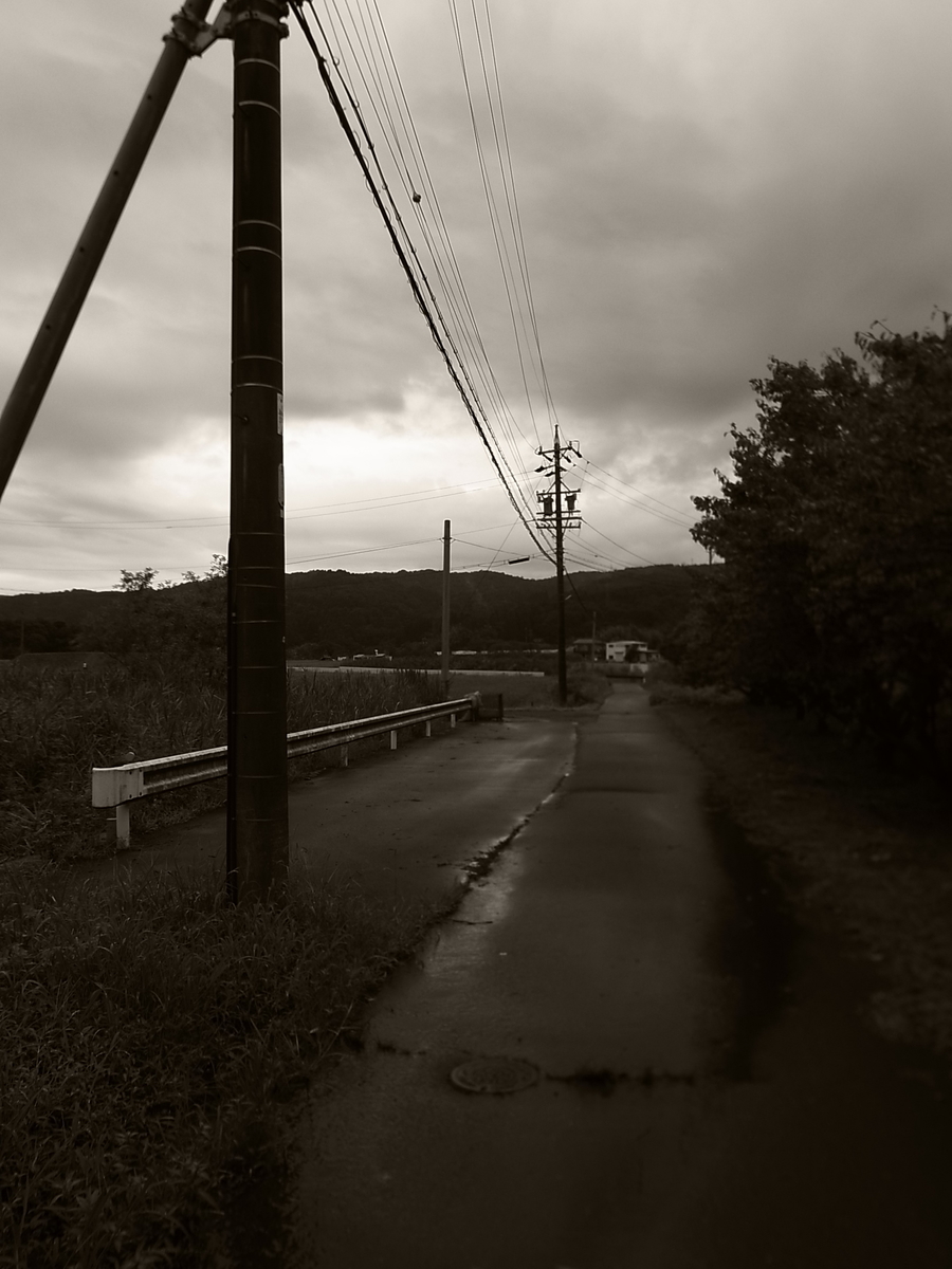 f:id:kosanikki:20210825130545j:plain