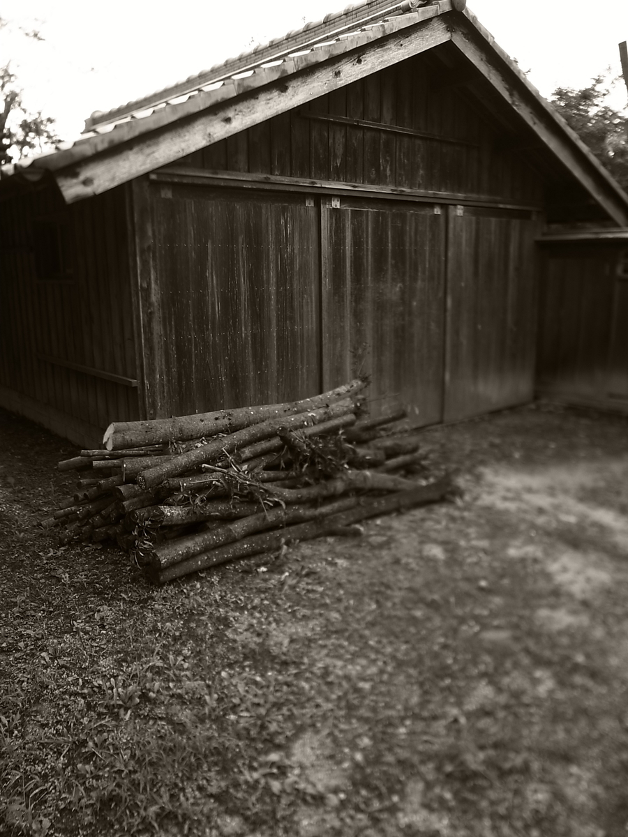 f:id:kosanikki:20210825130556j:plain