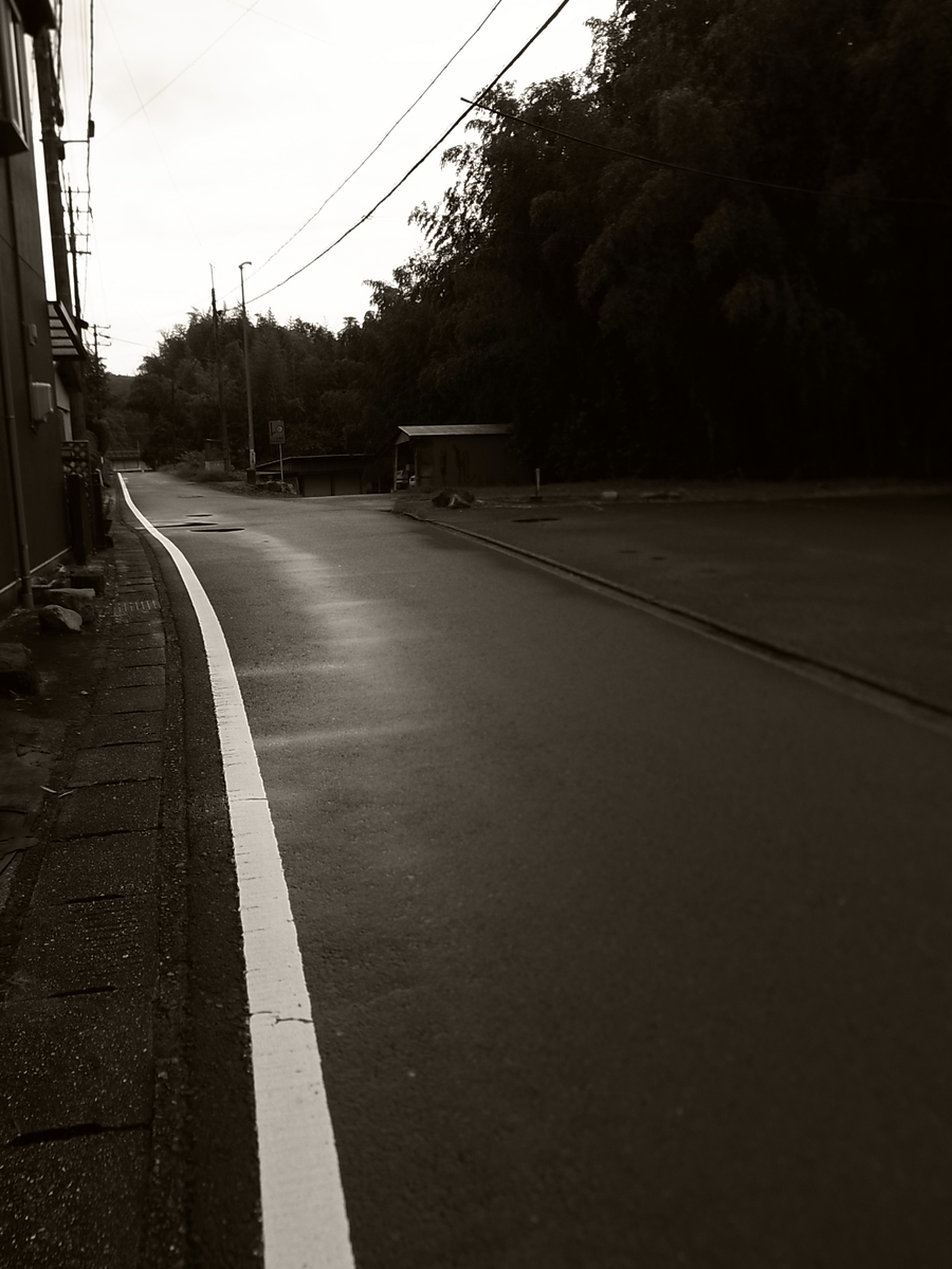 f:id:kosanikki:20210825130608j:plain