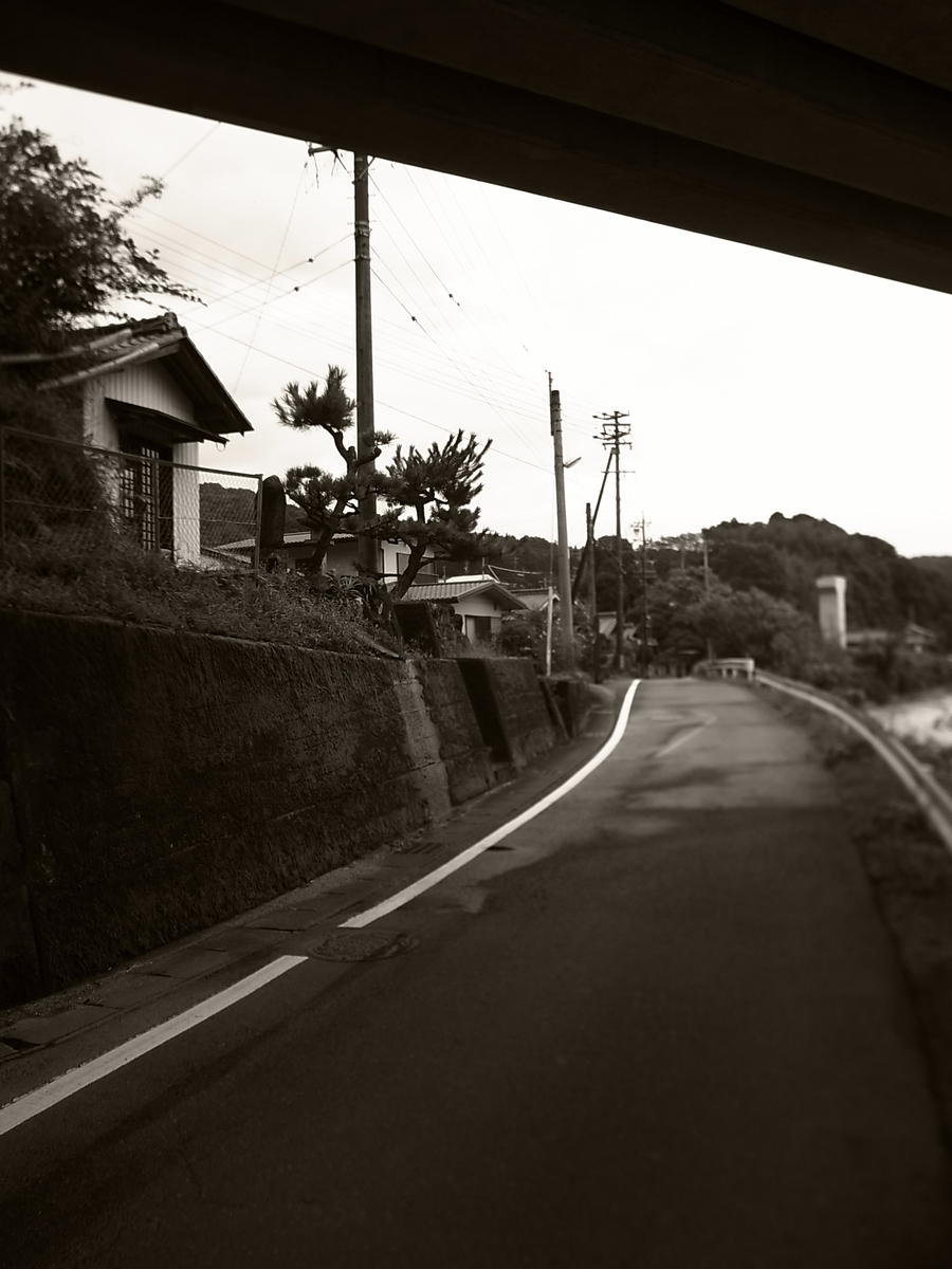 f:id:kosanikki:20210825130619j:plain