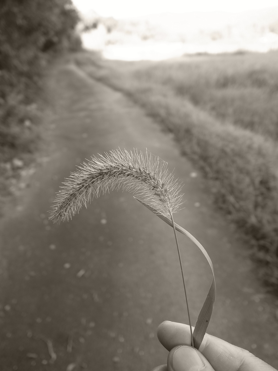 f:id:kosanikki:20210831142228j:plain