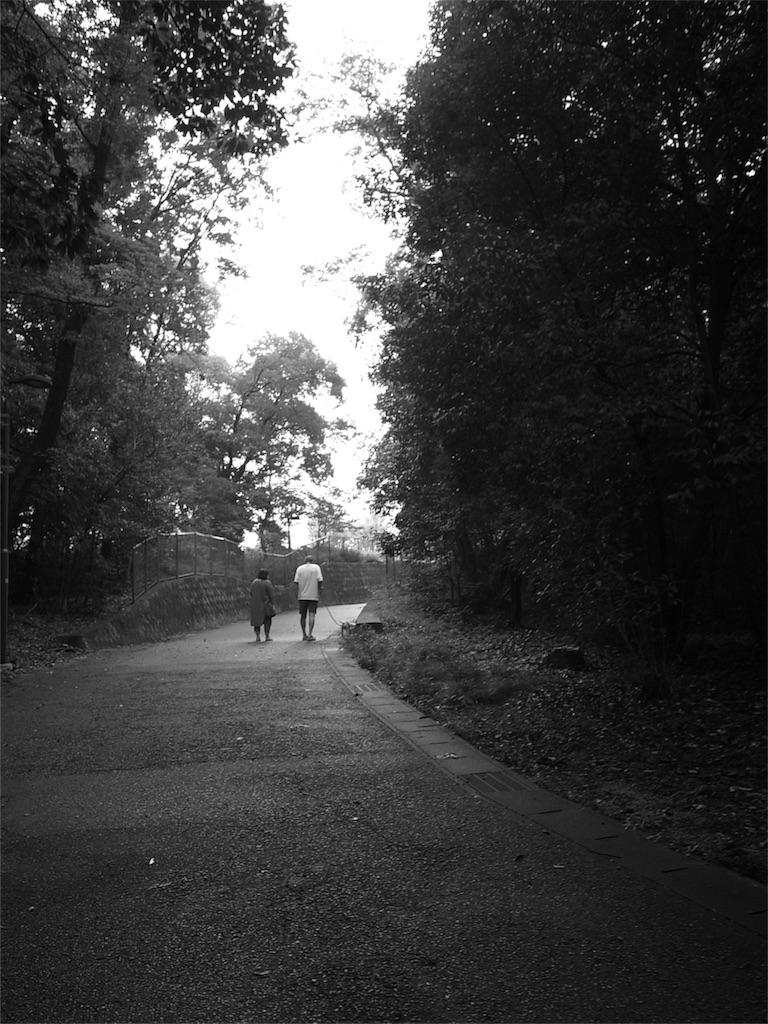 f:id:kosanikki:20210903093824j:image