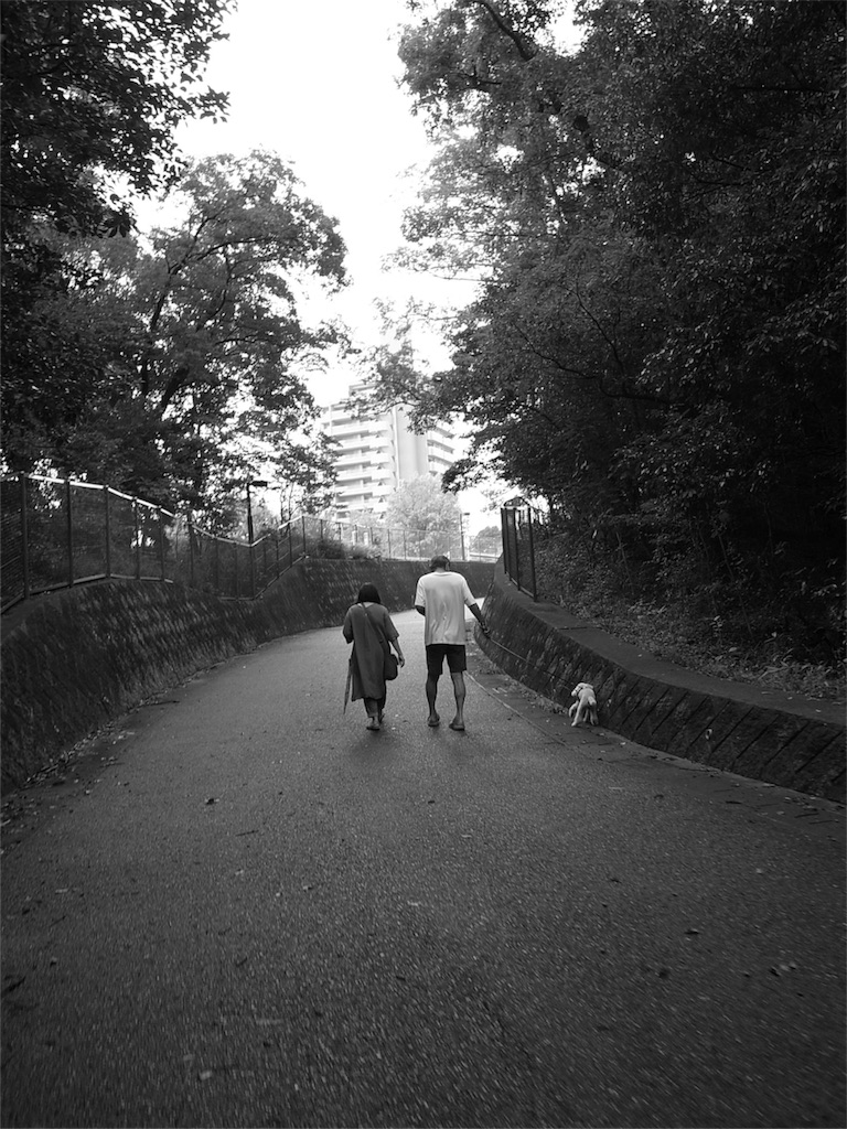 f:id:kosanikki:20210903093841j:image