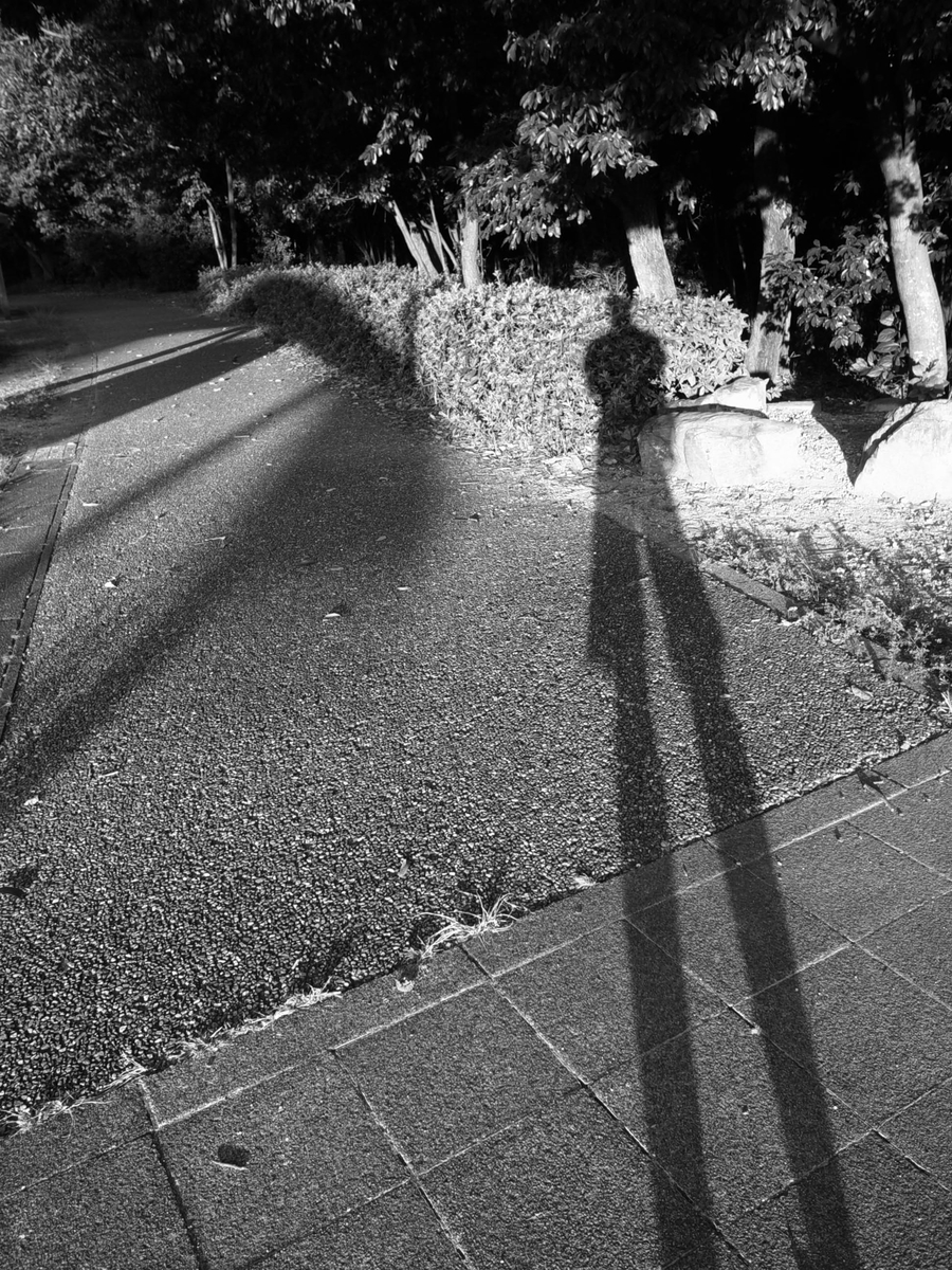 f:id:kosanikki:20211003001802j:plain