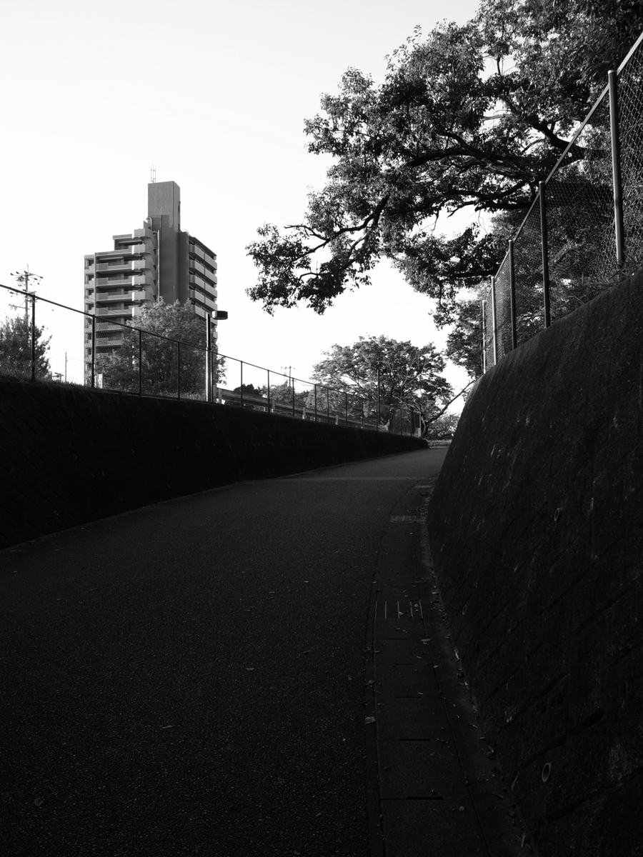 f:id:kosanikki:20211003001813j:plain