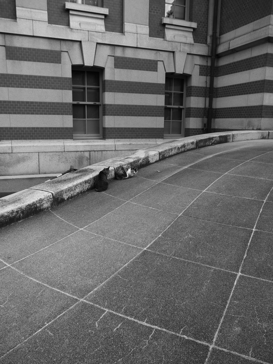 f:id:kosanikki:20211018202454j:plain