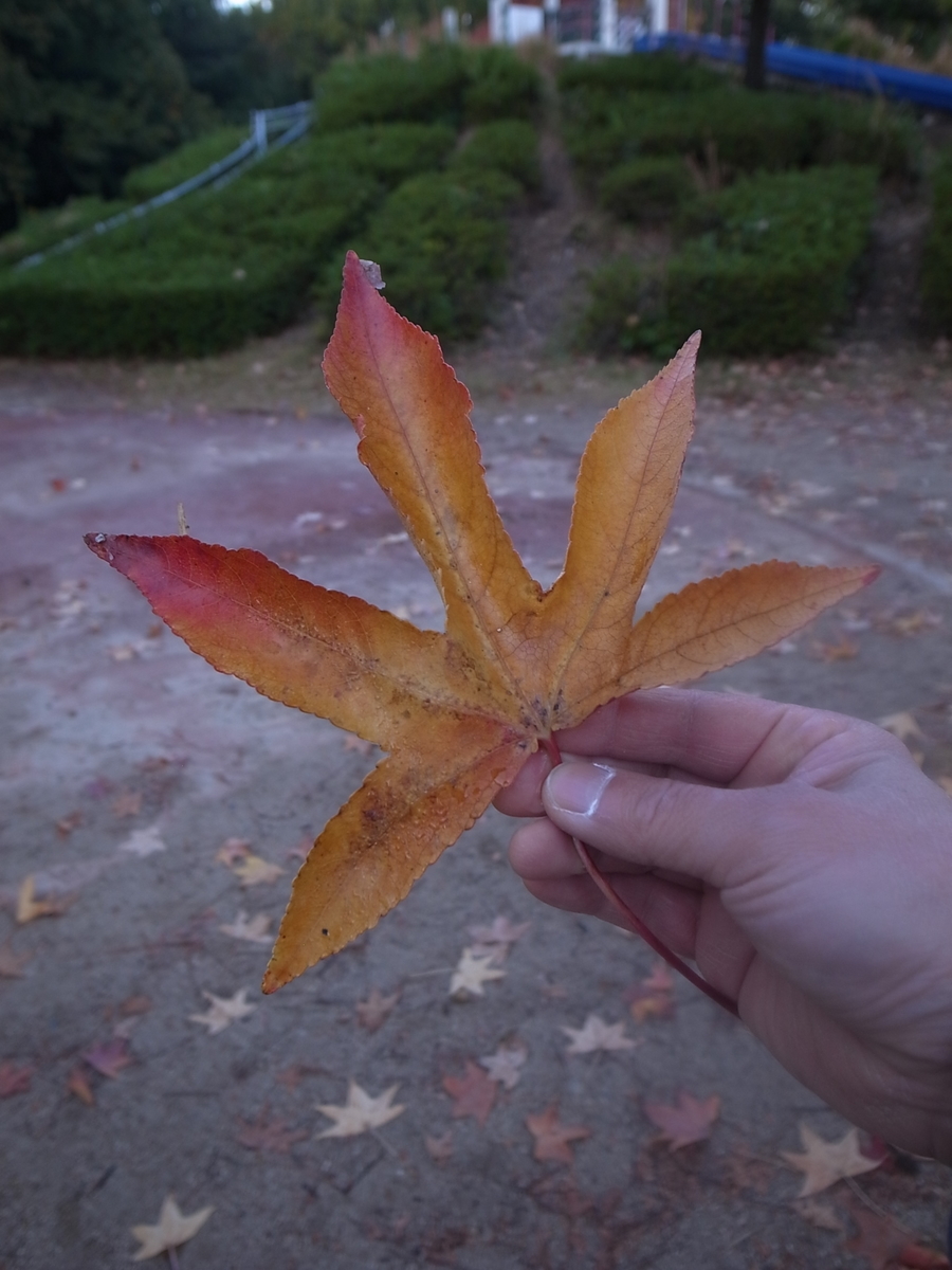 f:id:kosanikki:20211114001518j:plain