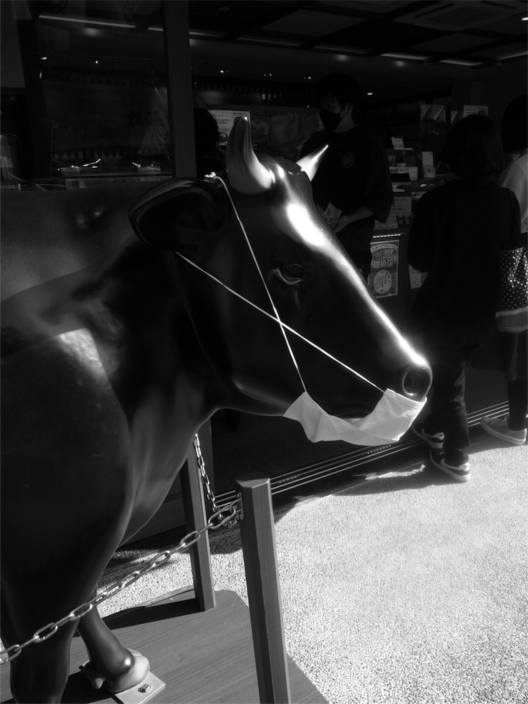 f:id:kosanikki:20211115190532j:image