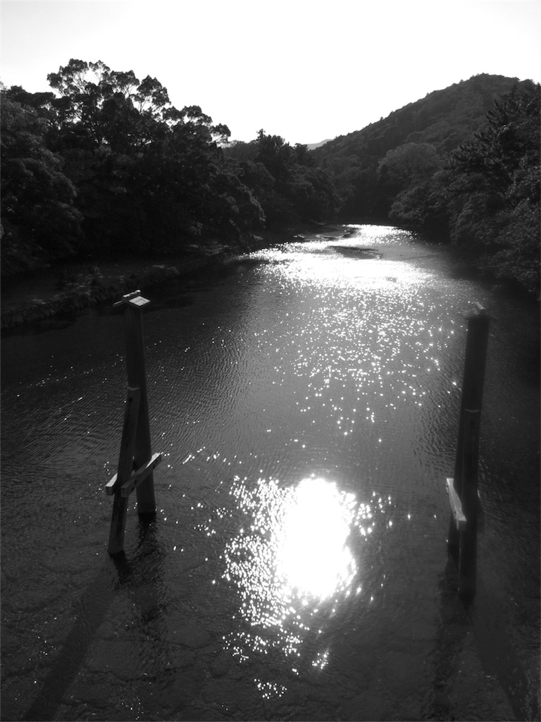 f:id:kosanikki:20211115190537j:image