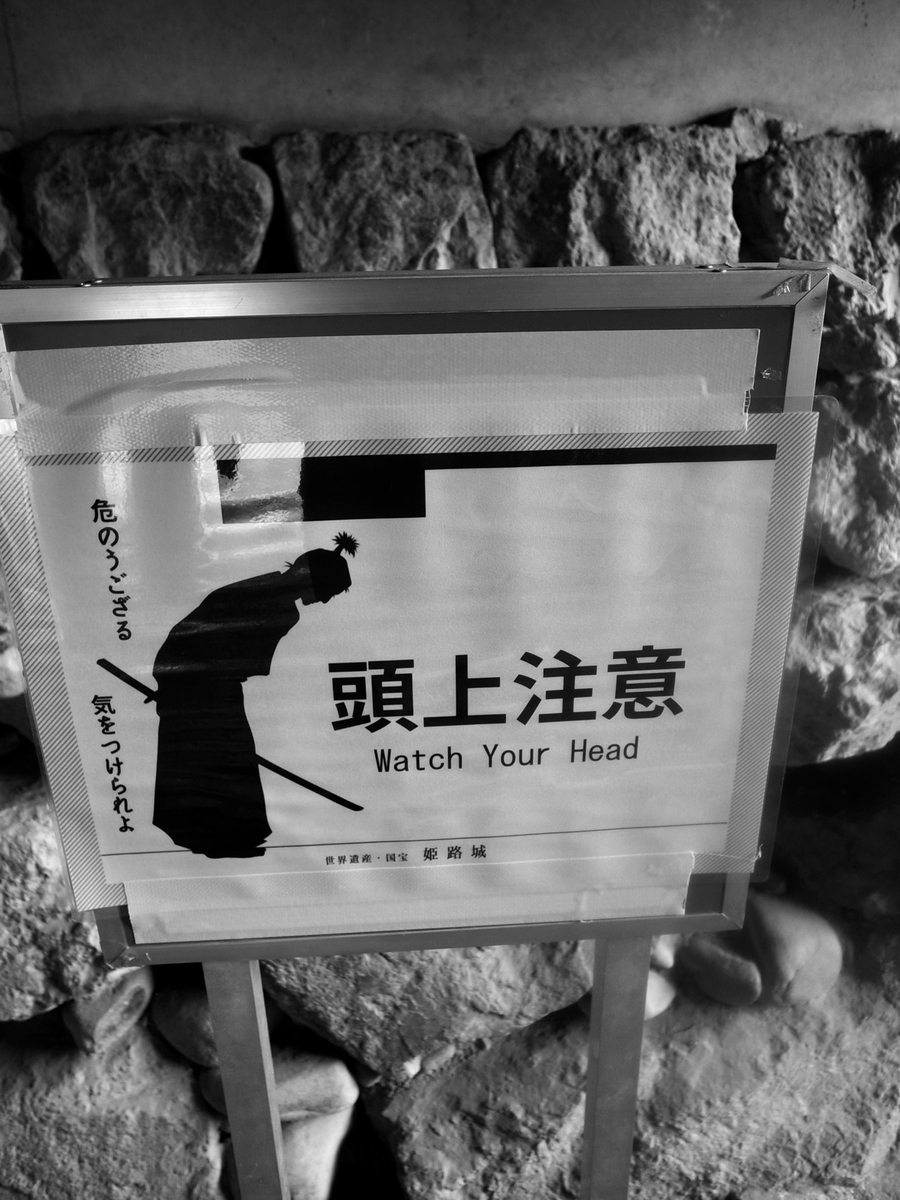 f:id:kosanikki:20211208185846j:plain