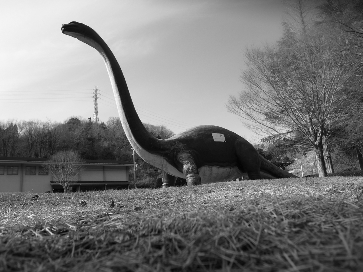 f:id:kosanikki:20220209173802j:plain