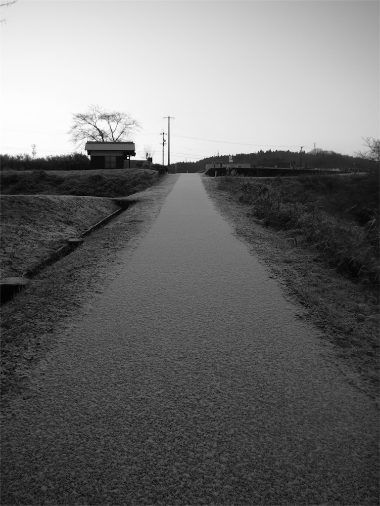 f:id:kosanikki:20220224191520j:image