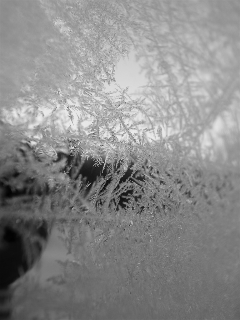 f:id:kosanikki:20220224191535j:image