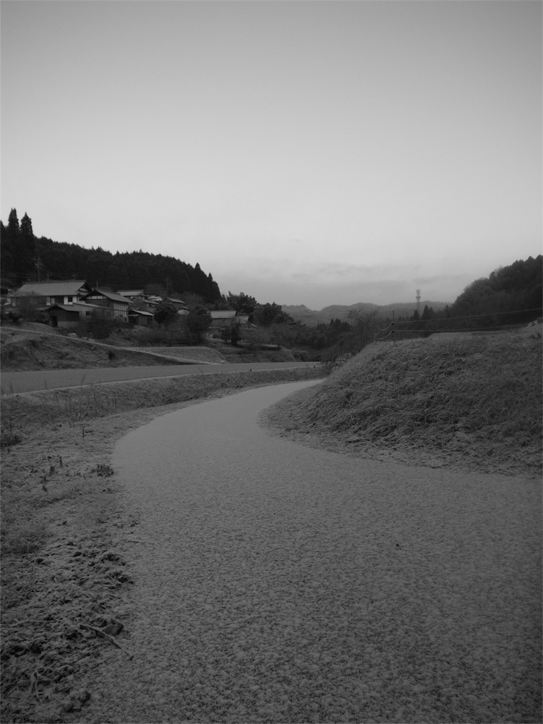 f:id:kosanikki:20220224191821j:image