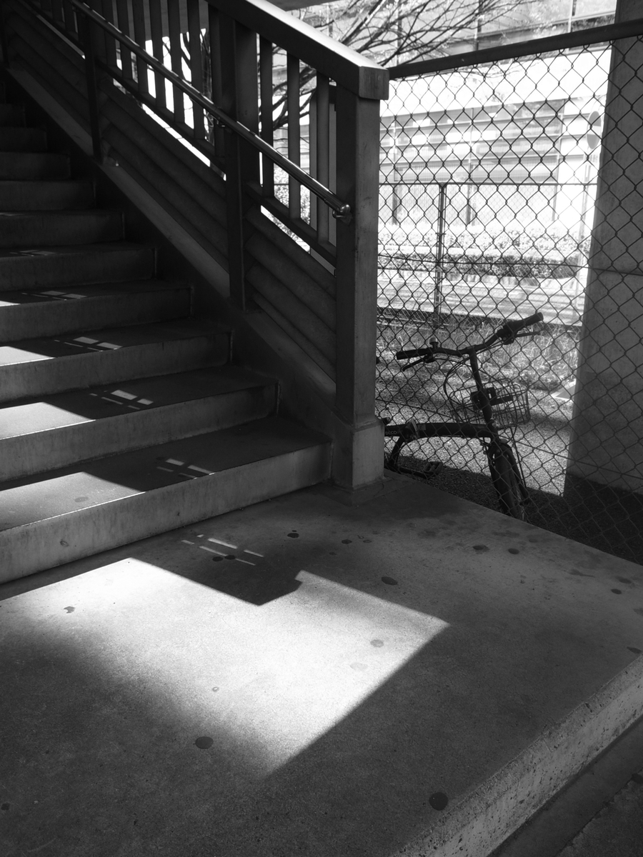 f:id:kosanikki:20220409234532j:plain