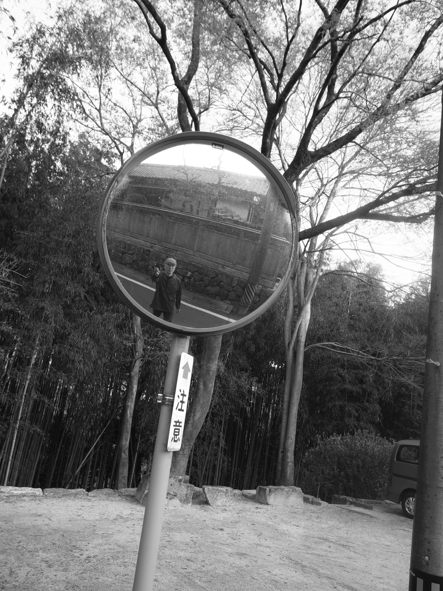 f:id:kosanikki:20220412174021j:plain