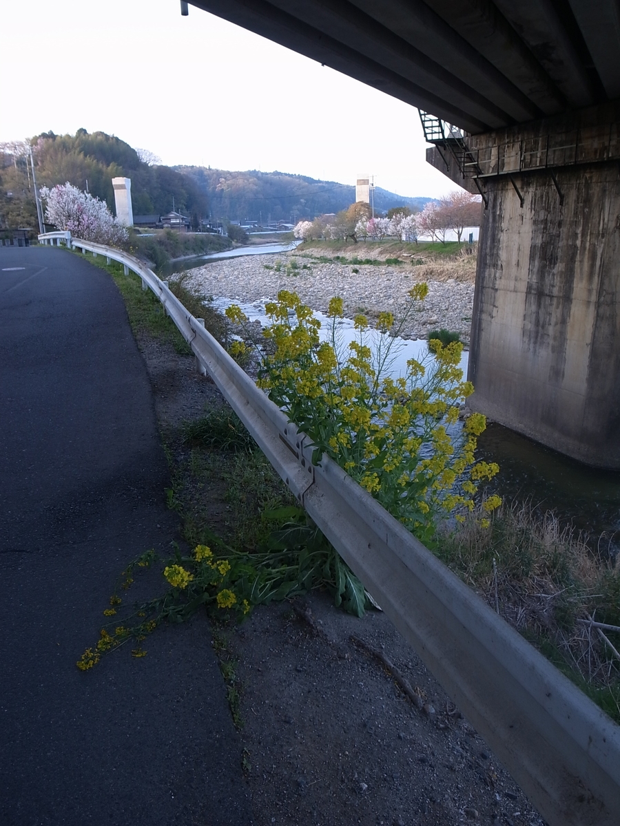 f:id:kosanikki:20220412174052j:plain