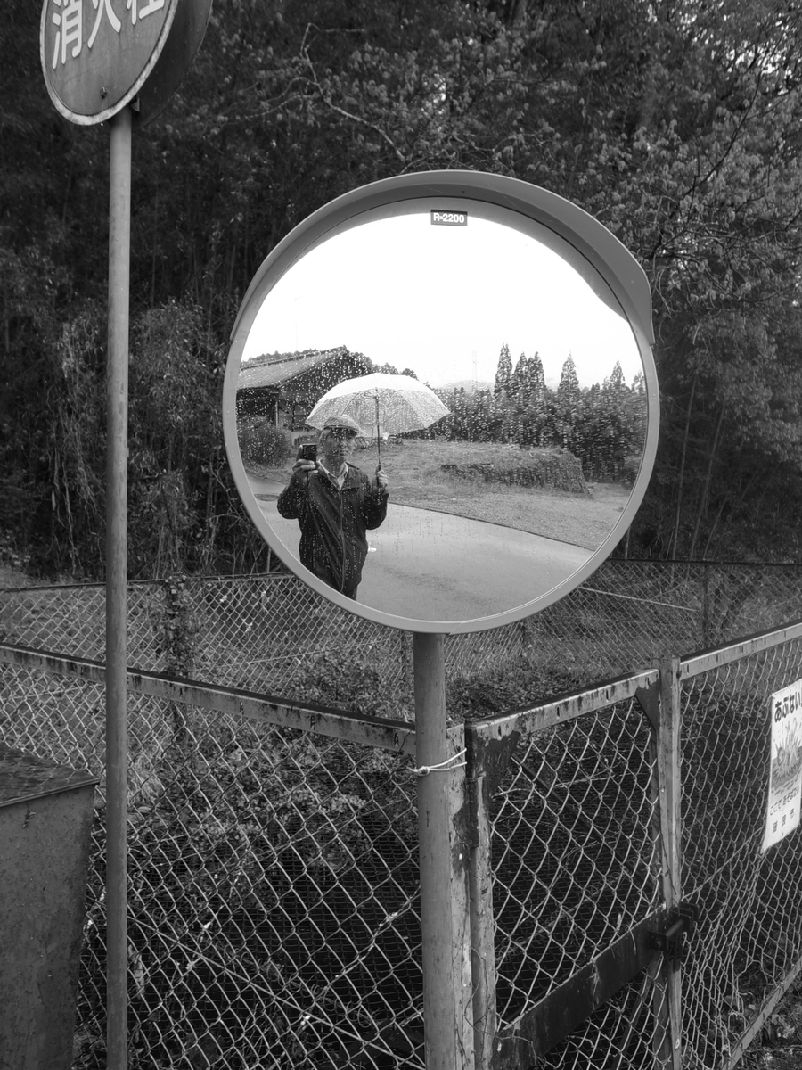 f:id:kosanikki:20220418154407j:plain