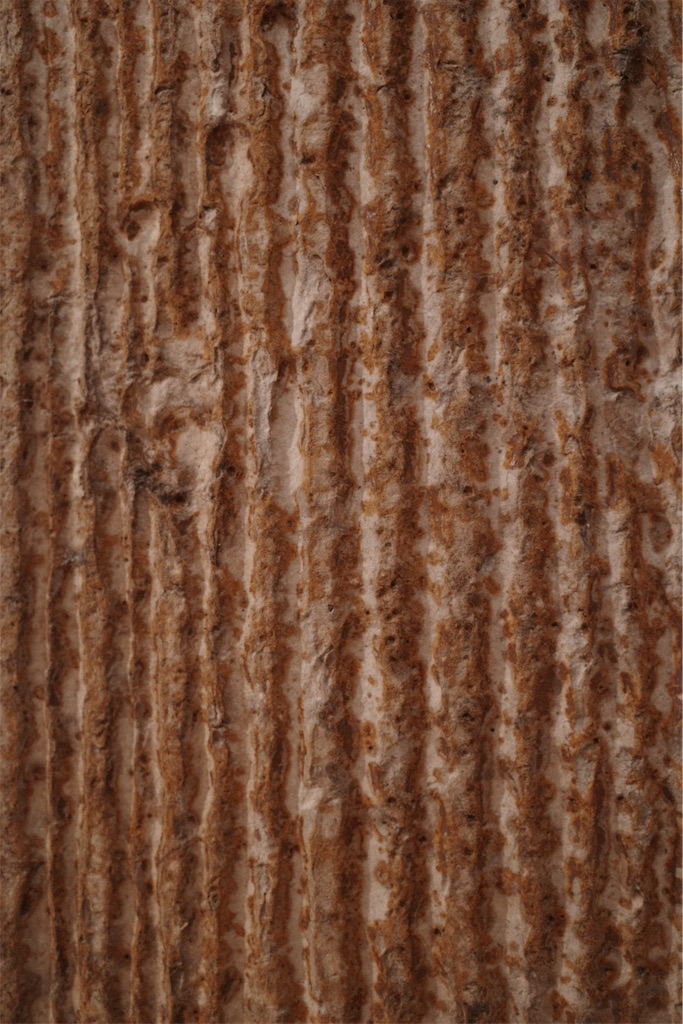 f:id:kosanikki:20230507000150j:image f:id:kosanikki:20230507000150j:image