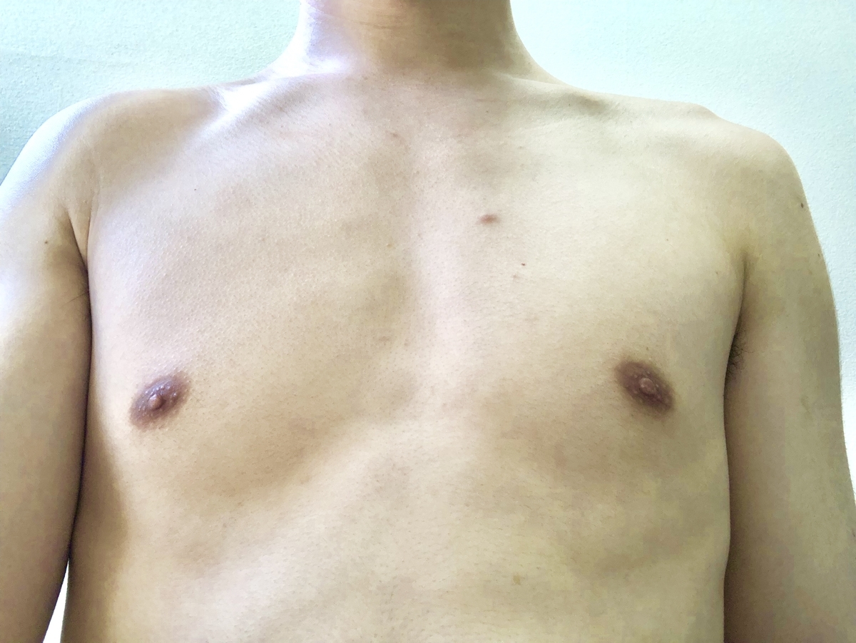 f:id:kosatenchang:20190405195645j:plain