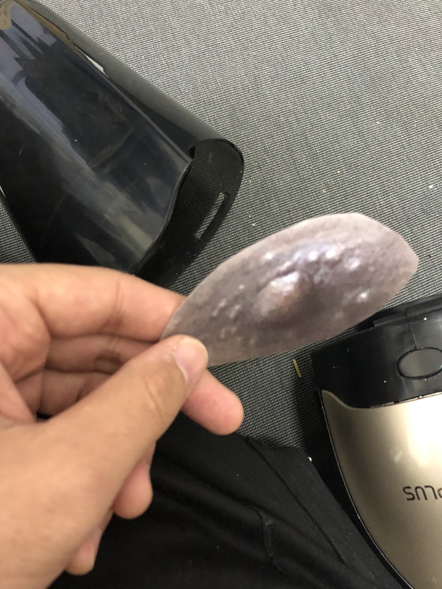 f:id:kosatenchang:20190407224413j:plain