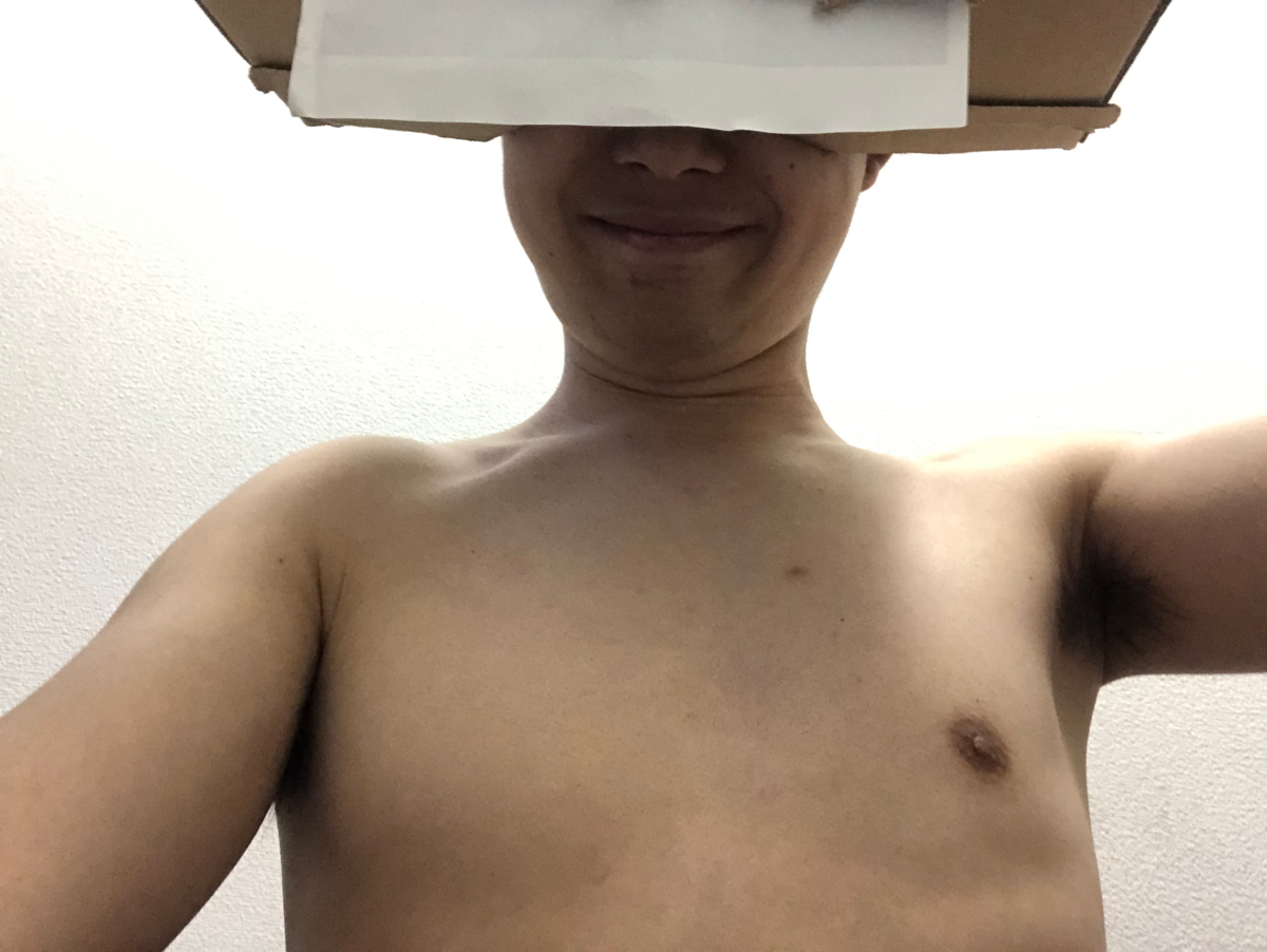 f:id:kosatenchang:20190407224556p:plain