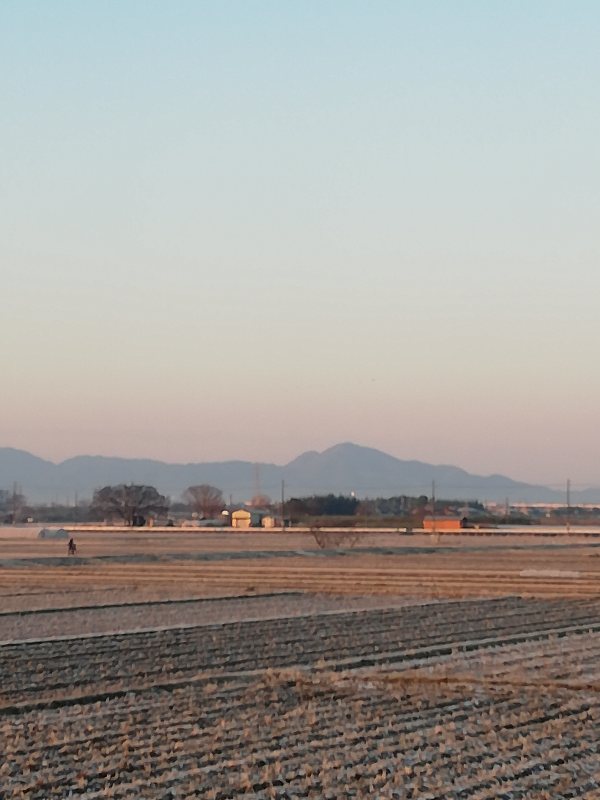 f:id:kosetu-tenkei:20210201230639j:plain