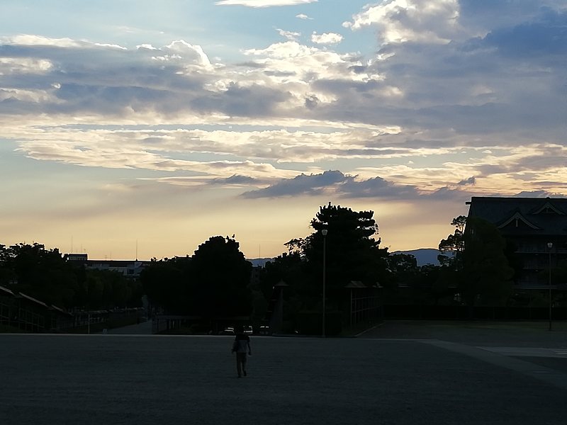 f:id:kosetu-tenkei:20210810133615j:plain