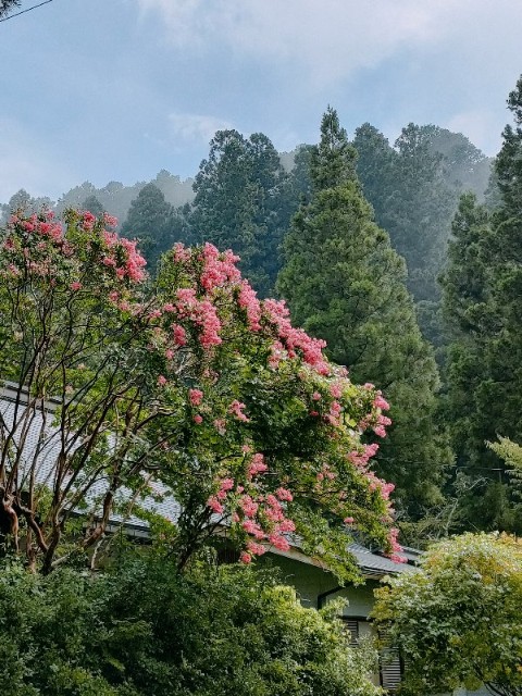 f:id:kosetu-tenkei:20220824084109j:image f:id:kosetu-tenkei:20220824084109j:image