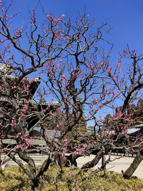 f:id:kosetu-tenkei:20230228155207j:image f:id:kosetu-tenkei:20230228155207j:image